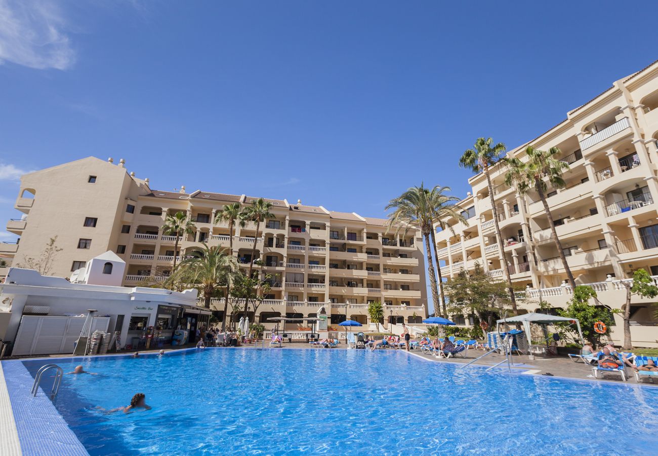 Ferienwohnung in Los Cristianos - Castle Harbour 3