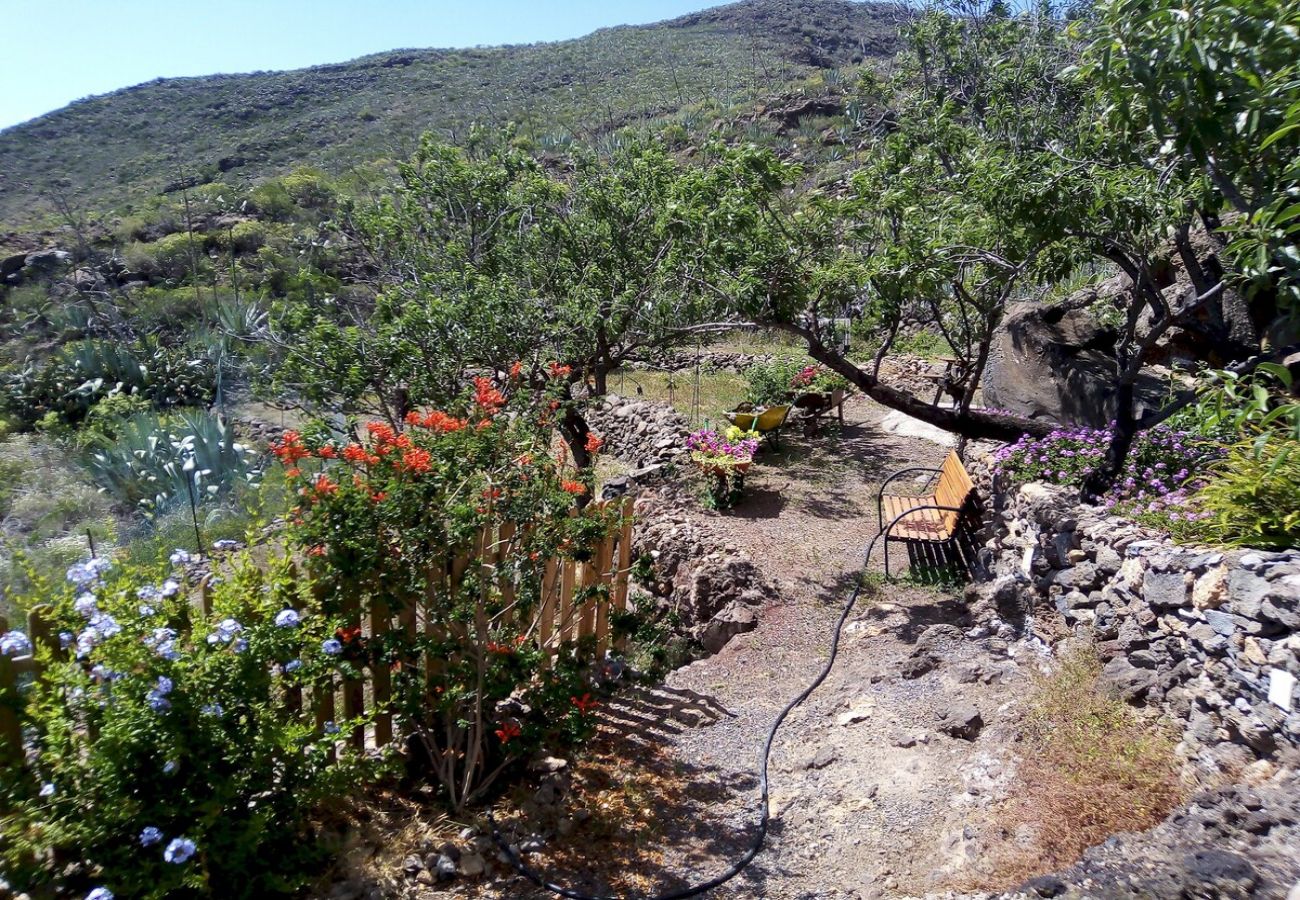 Casa rural en Arona - Casa La Fuente