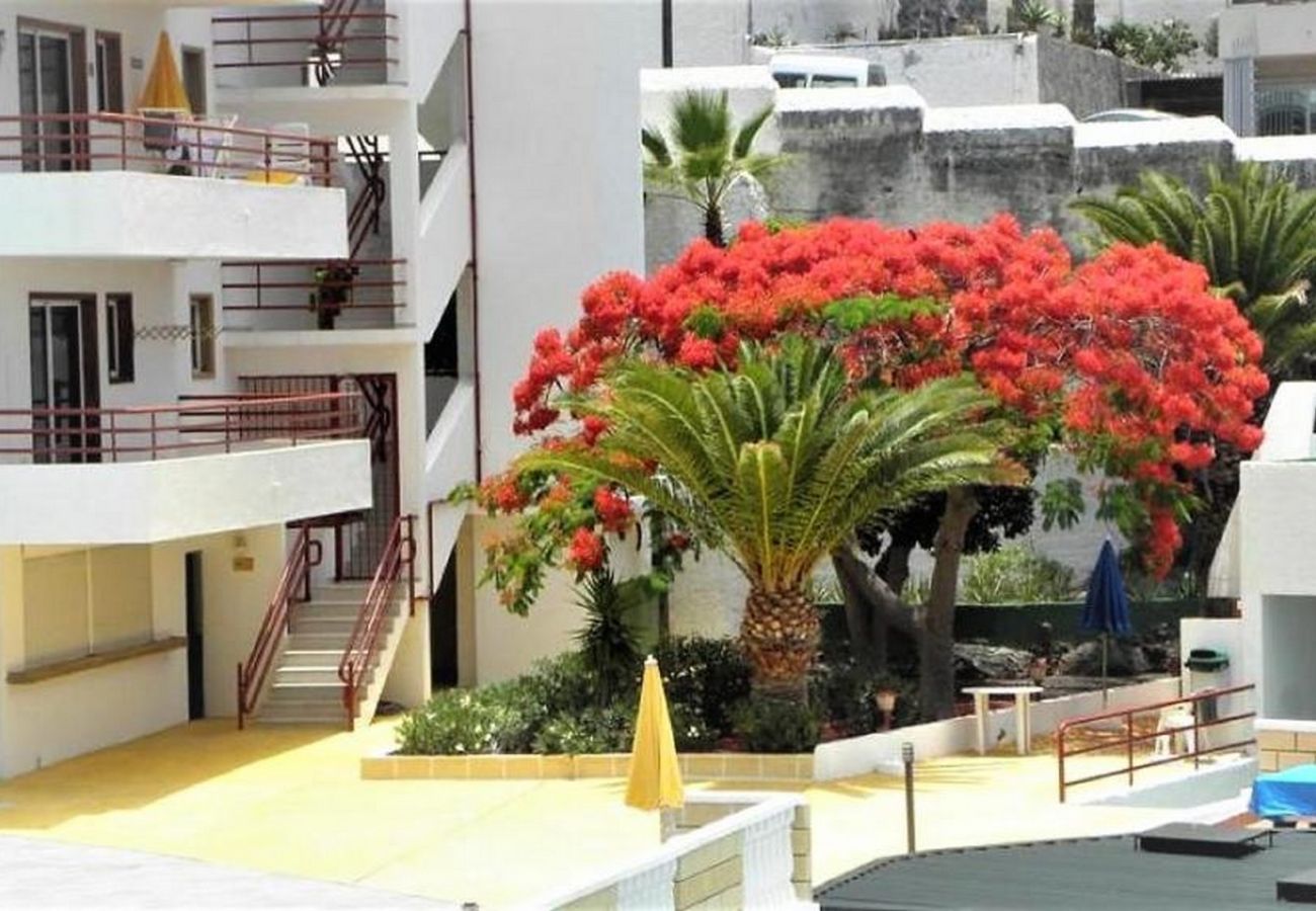 Apartamento en Puerto de Santiago - Apartamento Sol & Arena