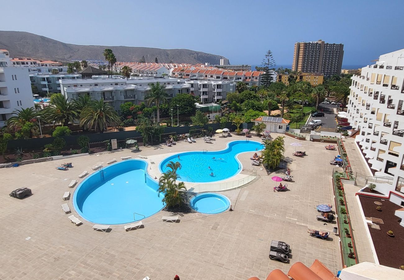 Estudio en Los Cristianos - San Marino Studio 8