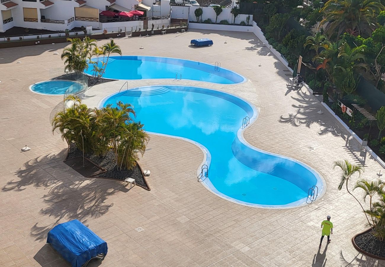 Estudio en Los Cristianos - San Marino Studio 8