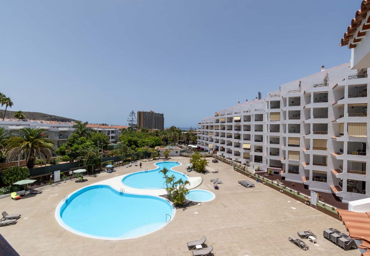 Estudio en Los Cristianos - San Marino Studio 8