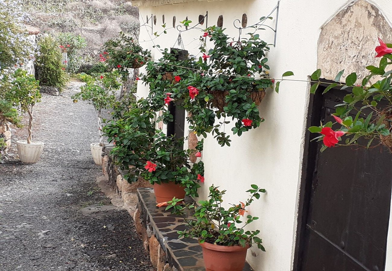 Gîte Rural à Arona - Casa La Fuente