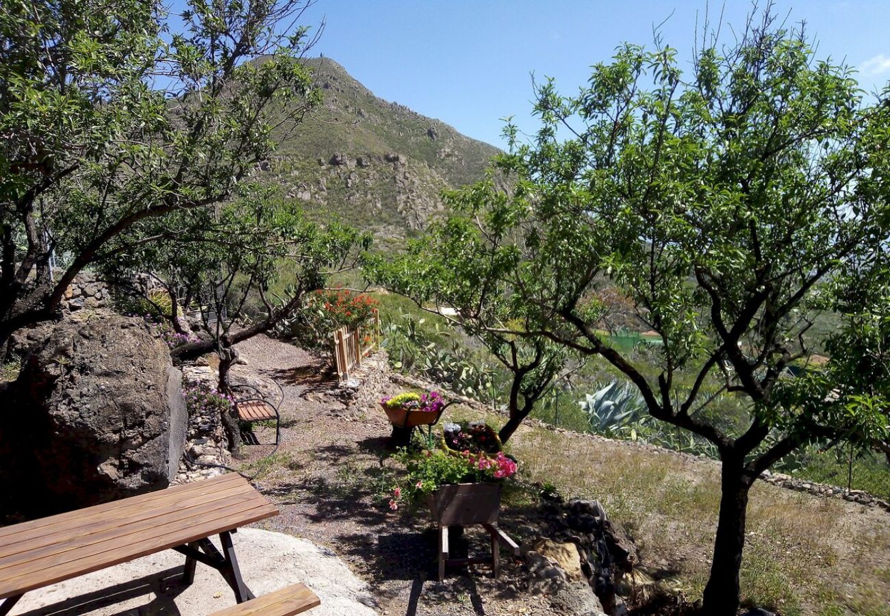 Gîte Rural à Arona - Casa La Fuente