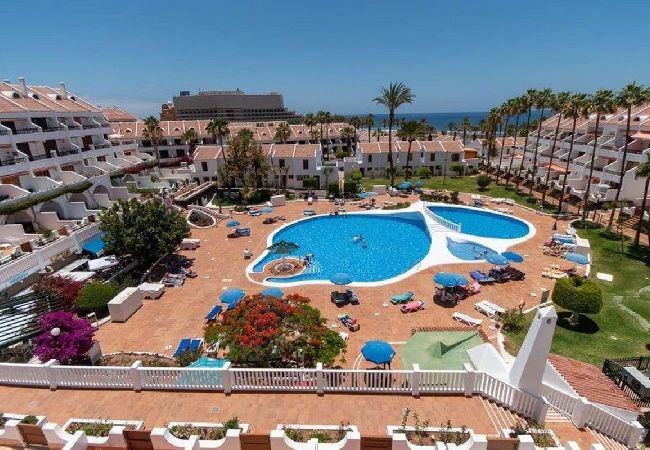Apartment in Playa de Las Americas - Parque Santiago II - 1 Bed Sea View Apartment in Playa de Las Americas - Parque Santiago II - 1 Bed Sea View