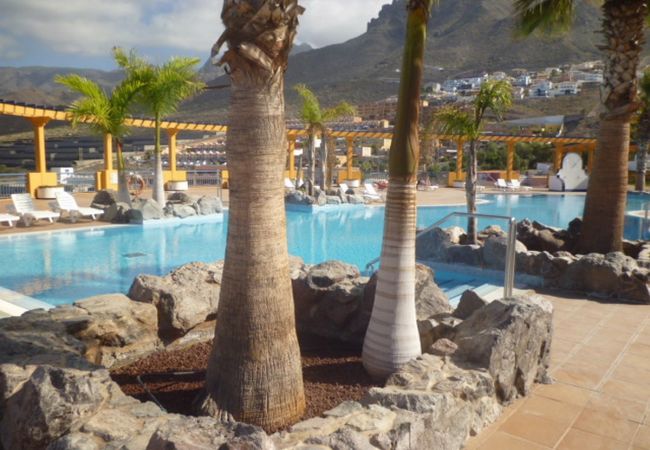 Apartment in Costa Adeje - Roque Del Conde Apartment in Costa Adeje - Roque Del Conde