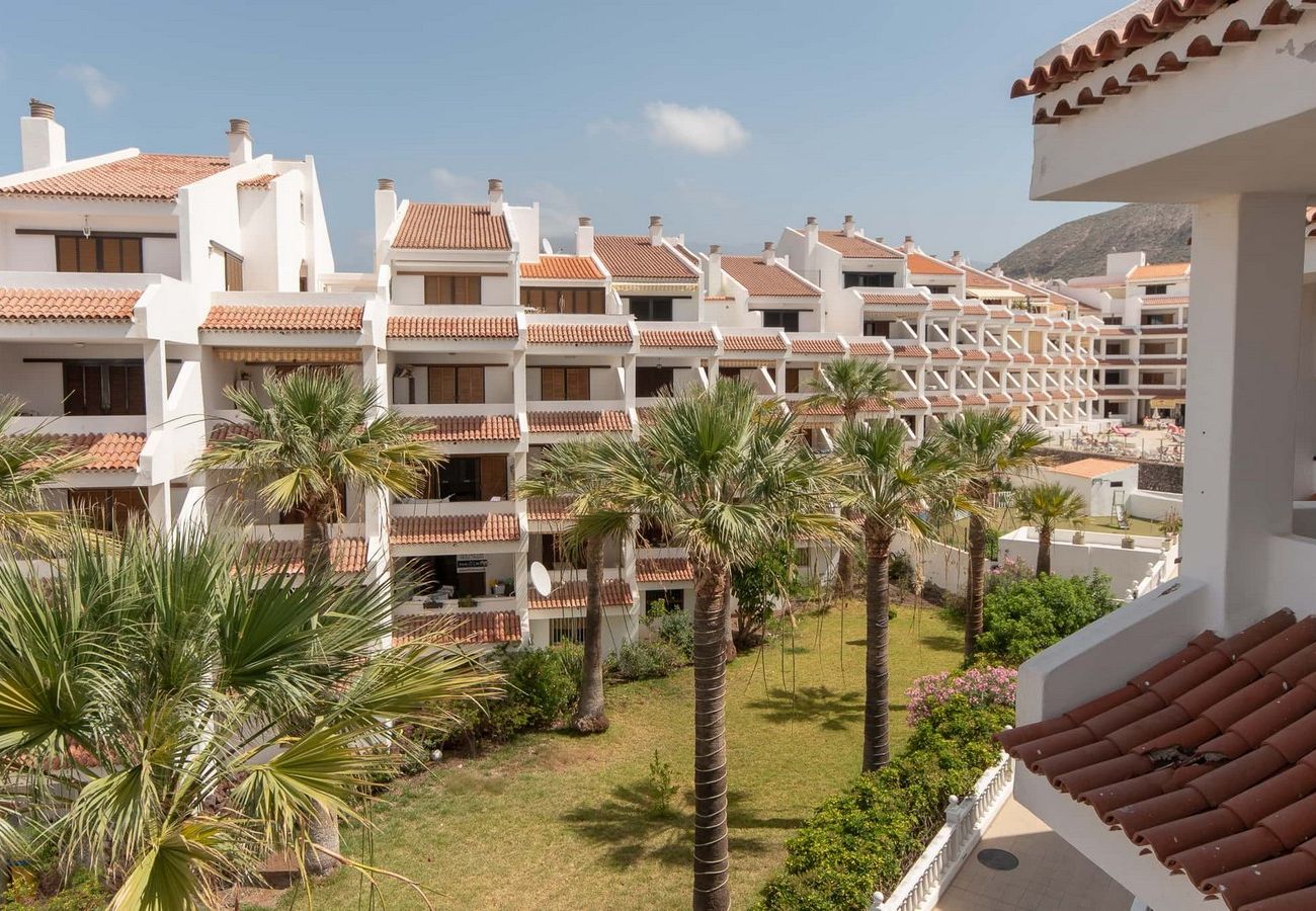 Apartment in Arona - Beach View