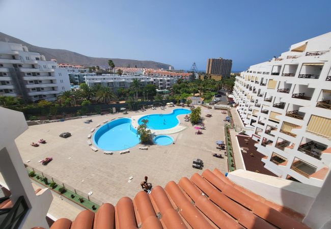 Studio in Los Cristianos - San Marino Studio 7 Studio in Los Cristianos - San Marino Studio 7
