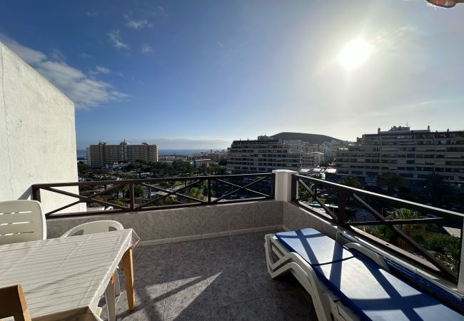 Apartment in Los Cristianos - San Marino 6 Apartment in Los Cristianos - San Marino 6