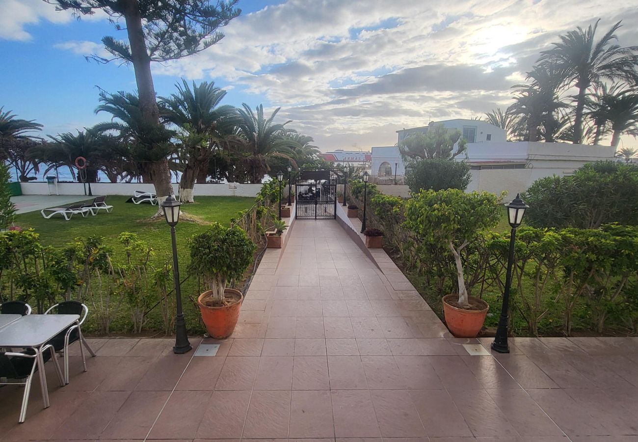 Studio in Los Cristianos - Ocean View 3