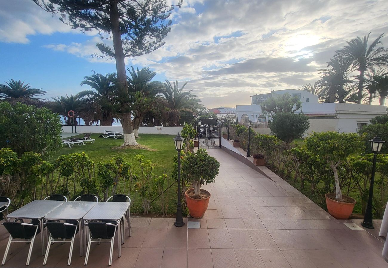 Studio in Los Cristianos - Ocean View 3