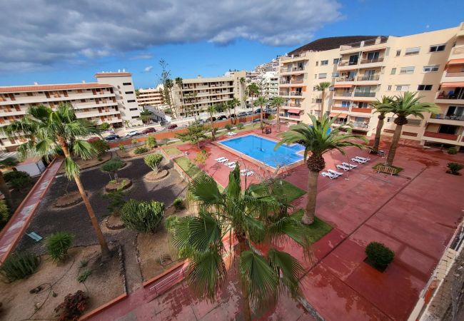 Apartment in Los Cristianos - Crisol
