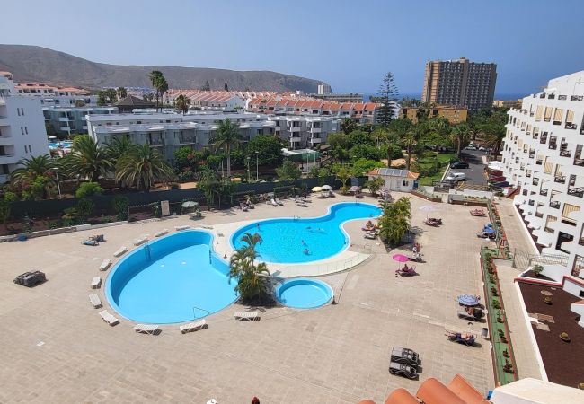 Studio in Los Cristianos - San Marino Studio 8